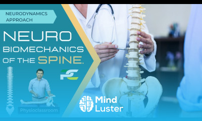 NEUROBIOMECHANICS OF THE SPINE HOW SPINAL CORD NEURAL ELEMENTS RESPOND TO SPINE MOVEMENTS