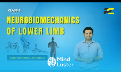 NEUROBIOMECHANICS OF LOWER LIMB MOVEMENT BEHAVIOUR OF NERVOUS SYSTEM IN RESPONSE TO L L MOVEMENTS