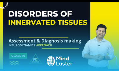 TYPES OF INNERVATED TISSUE DYSFUNCTIONS MOTOR CONTROL INFLAMMATORY NEURODYNAMICS PART 10