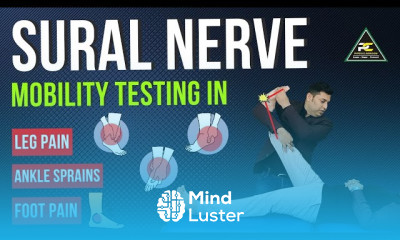 SURAL NERVE MOBILITY TESTING IN LEG ANKLE AND FOOT PAIN PATIENTS