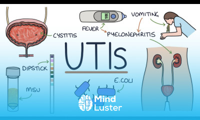 Understanding Urinary Tract Infections