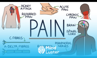 Understanding The Causes of Pain and Pain Management