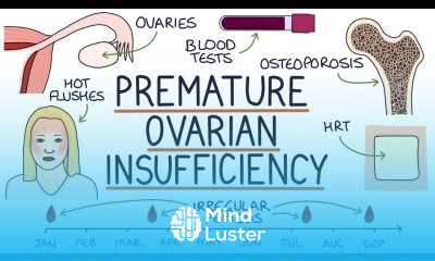 Understanding Early Menopause Premature Ovarian Insufficiency