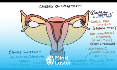 Understanding Infertility Causes and Investigations