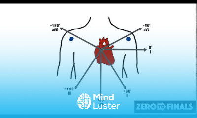 Understanding ECG Axis and Axis Deviation