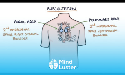 Heart Murmurs and Heart Sounds Visual Explanation for Students