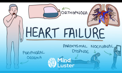 Understanding Heart Failure Visual Explanation for Students