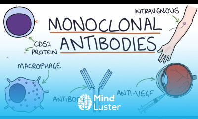 How do monoclonal antibodies work Rituximab infliximab adalimumab and others