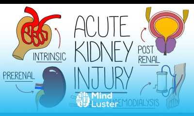 Understanding Acute Kidney Injury AKI Made Easy