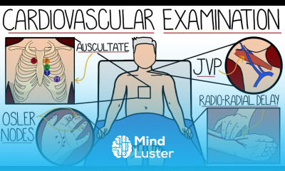 The Cardiovascular System Examination