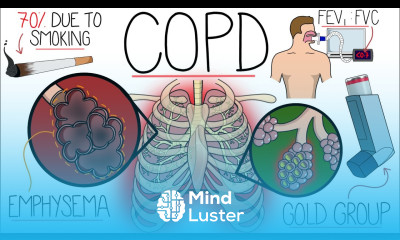 Understanding Chronic Obstructive Pulmonary Disease COPD Explained Clearly