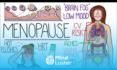 Menopause Explained Clearly Includes HRT Perimenopause