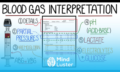 Blood Gas Interpretation Made Easy Learn How To Interpret Blood Gases In 11 Minutes