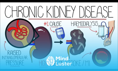 Understanding Chronic Kidney Disease CKD