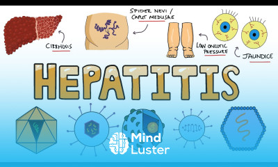 Viral Hepatitis How Does Hepatitis Affect The Liver Acute vs Chronic Hepatitis