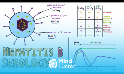 Hepatitis B Serology MADE EASY How to Interpret Hepatitis B Serology in under 5 minutes