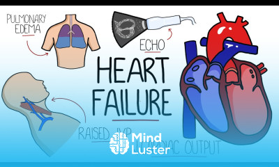Heart Failure Explained HFrEF vs HFpEF Systolic vs Diastolic Heart Failure