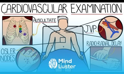 The Cardiovascular System Examination