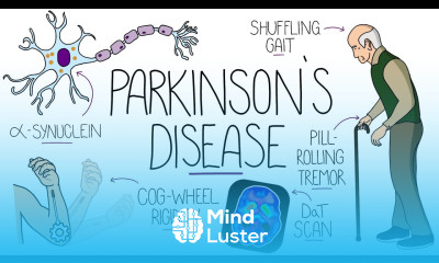 Understanding Parkinson s Disease Including Direct and Indirect Pathways