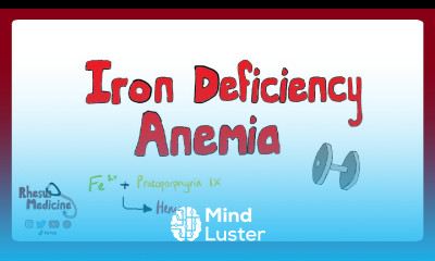 IRON DEFICIENCY ANEMIA Causes Clinical Features Pathophysiology Diagnosis Treatment Rhesus