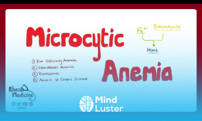 MICROCYTIC ANEMIA Iron Deficiency Anemia Anemia of Chronic Disease Sideroblastic Anemia Rhesus