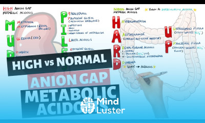 High vs Normal Anion Gap Metabolic Acidosis Mnemonic MUDPILES HARD UP