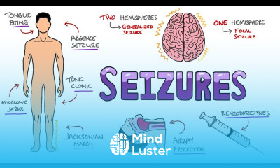 Seizures Seizure Types Generalized vs Focal Seizures Causes of Seizures Mnemonic