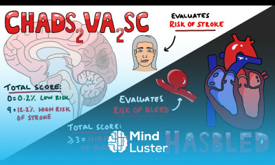 CHADSVASC vs HASBLED Total Scores Interpretation What do they mean