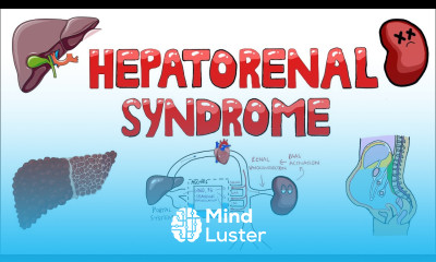 Hepatorenal Syndrome Pathophysiology What is the mechanism of Hepatorenal Syndrome