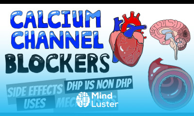 Dihydropyridine v Non Dihydropyridine Calcium Channel Blockers CCB Calcium Channel Blocker Uses