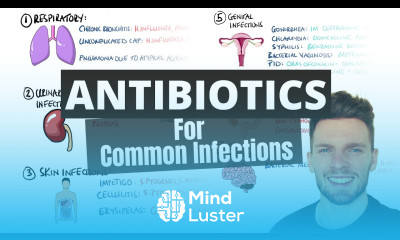 Antibiotic Choices for Common Infections Antibiotics Mnemonic How to Choose an Antibiotic