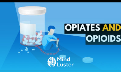 Opiates and Opioids The Dangerous Reality of Prescription Drugs