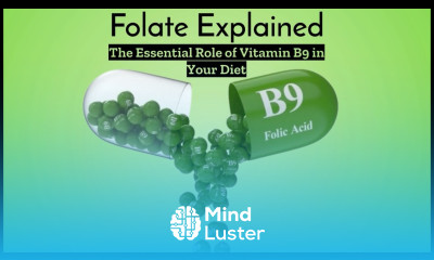 Folate Why Vitamin B9 is Crucial for Your Well being