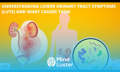 Understanding Lower Urinary Tract Symptoms