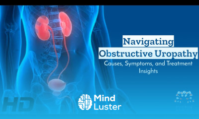 Obstructive Uropathy Explained From Symptoms to Treatment