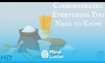 Carbohydrates Everything You Need To Know