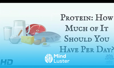 Protein How Much Of It Should You Have Per Day