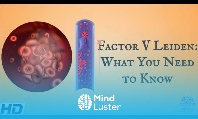Factor V Leiden Everything You Need To Know