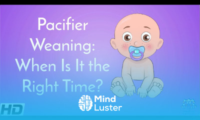 Pacifier Weaning When Is It The Right Time