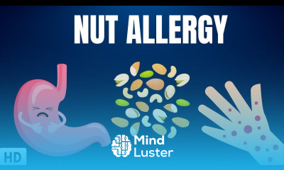 Nut Allergy Everything You Need To Know