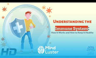 The Immune System Unraveled A Journey Inside Your Body s Defenses