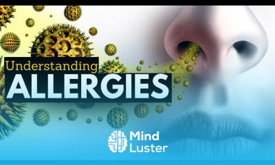 Allergies 101 From Triggers to Treatments