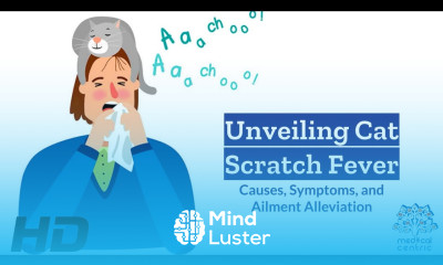 Cat Scratch Fever Uncovered What You Need to Know