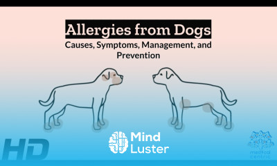 Dog Allergies Unleashed A Comprehensive Guide to Understanding and Managing
