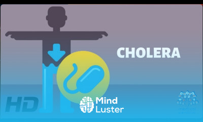 CHOLERA Everything You Need To Know