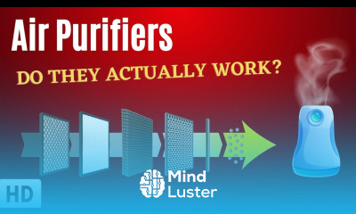 Air Purifiers Do They Actually Work