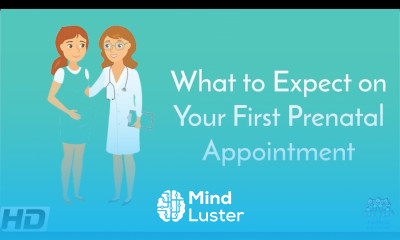What to Expect On Your First Prenantal Appointment