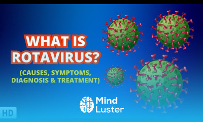 Inside the Tummy Troubles Diving Deep into the World of Rotavirus Infections