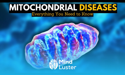 Mitochondrial Diseases Everything You Need to Know