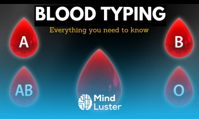 The Mystery of Blood Typing The Facts You Need to Know About Your Blood